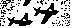 Photo Number 1279