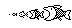 Photo Number 1648